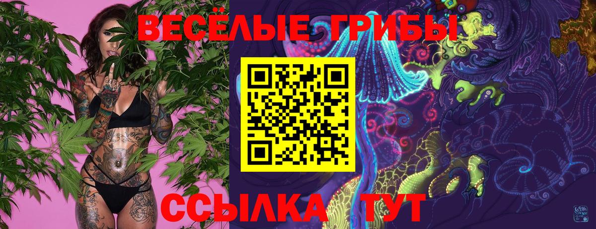Галлюциногенные грибы ЛСД Шатура
