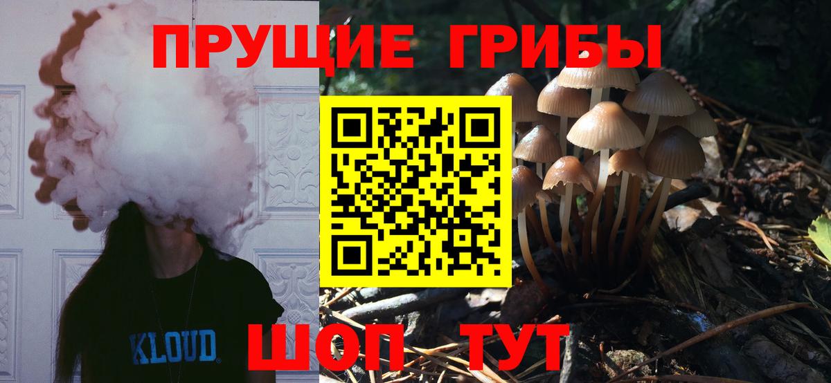 Шатура  Галлюциногенные грибы мицелий  Вход с VPN 